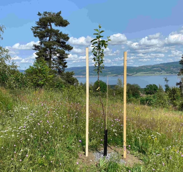 Samarbeid med fruktdyrkere